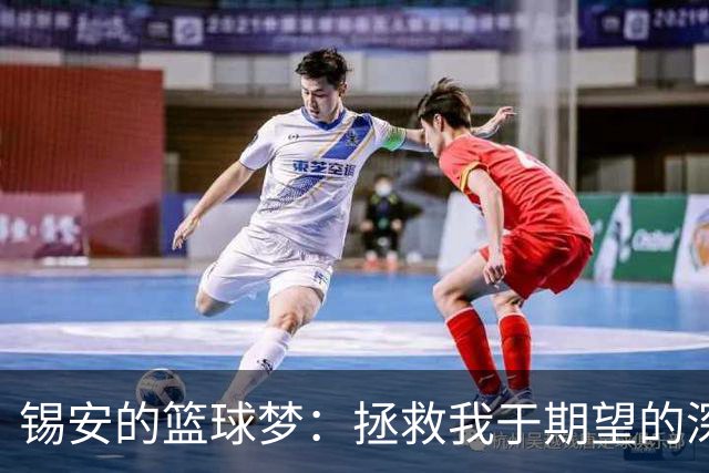 锡安的篮球梦：拯救我于期望的深渊!